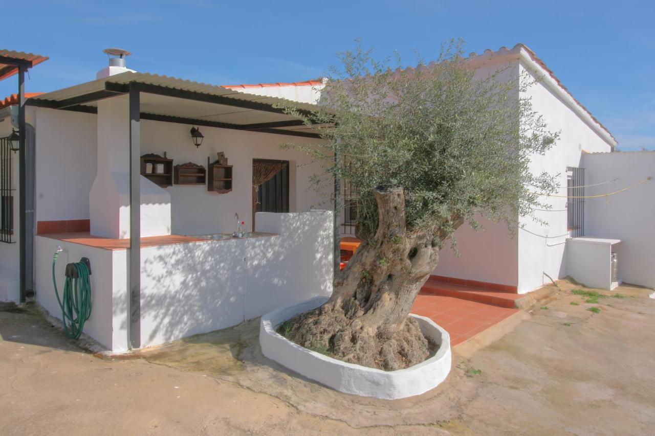 Casa Rural Los Naranjo Jerez De Los Caballeros Exteriér fotografie