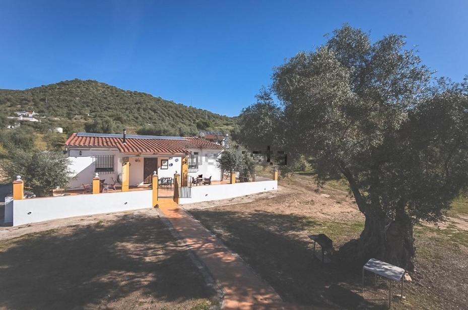 Casa Rural Los Naranjo Jerez De Los Caballeros Exteriér fotografie